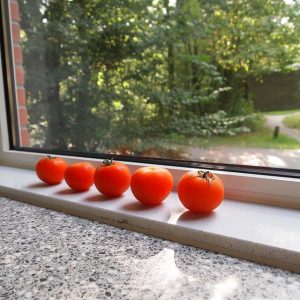 Window Sill Material